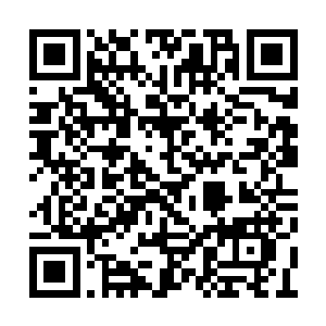 非要有一具庞大的身体和面积足够大的皮肤褶皱二维码生成