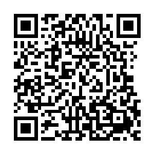 非跑到我这里……知道重伤的纳虚境强者也不是自己能够对付的二维码生成