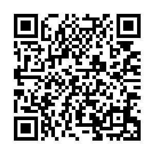 靠墙的书架一个接一个上面充斥着各色的经文典籍二维码生成