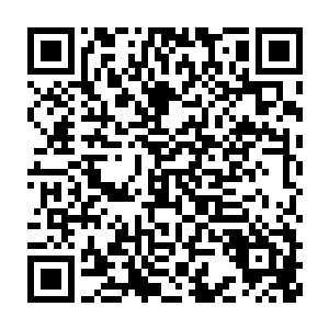 靠我一个人的力量甚至连这一座普通小型的黑心工厂都没有办法取缔二维码生成