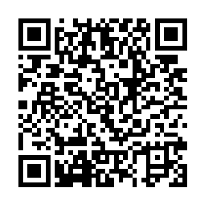 靠着万星筑基阵就算已经掌握了这白虎七杀图的奥秘二维码生成