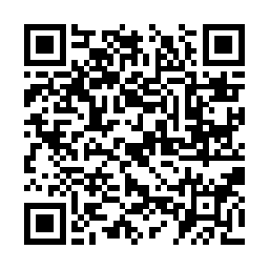 靠着吸收天地灵气就可以维持身体机能的正常运转二维码生成