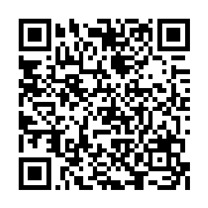 靠着强大的圣域绝学和云家强者战斗的不相上下二维码生成