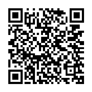 靠近对方三米范围内将符箓朝对方丢过去就行了……果真如此二维码生成