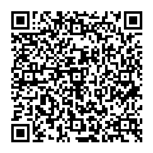 靠近山顶的云雾更是反射出明亮的金黄色……甚至连山顶荒凉的岩石也开始反射出淡淡的琥珀色来二维码生成