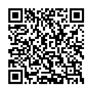 面上不再象从前那样在她面前是一脸放空的神情二维码生成