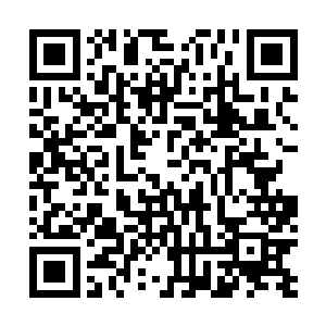 面上蒙着的白色面纱更是衬得她整个人说不出的冷清高傲二维码生成