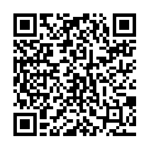 面前四五株小臂粗细的紫竹已被这一下掌劈从中削断纷纷落地二维码生成