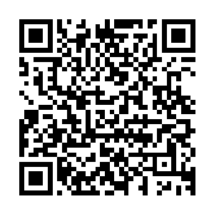 面前大约两三米外突然弹起来的身影显然不是脏兮兮的武装分子二维码生成