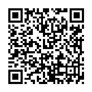 面前的上古火凤凰却并没有把他们三个放在眼里二维码生成