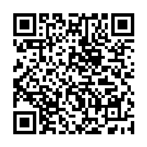 面前的杰西卡不就是可可小姐这款香水最好的体现么二维码生成