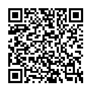 面前的桌子上出现了一千本整整齐齐的七级功法二维码生成