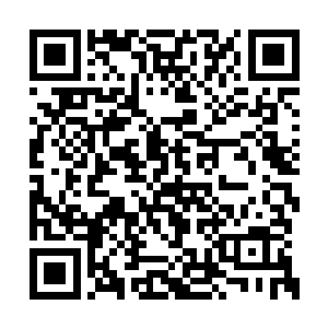面前这个仙帝在他的心中已经是一个必死之人了二维码生成