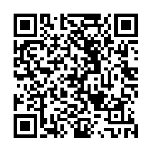 面前这个大个头是第十方巨人族和人族还有仙兽血脉混合物二维码生成