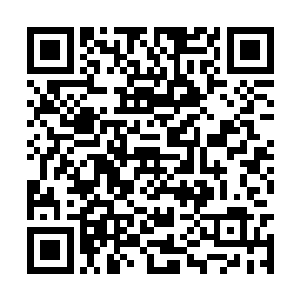 面前这个女人其实是皇子刘康的原配张家幼女媚娘二维码生成