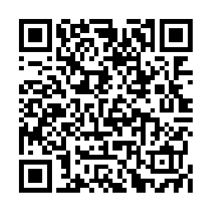 面前那个让他寝食难安夜不能寐的面孔印入眼帘二维码生成