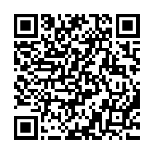 面包车里面的独眼龙和头套男都满脸的差异震惊不已二维码生成