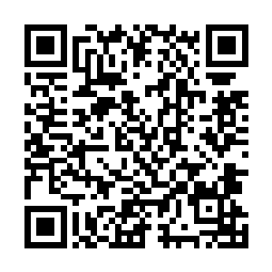 面对任何一只灵兽你们最好都给我把全部的实力都拿出来二维码生成