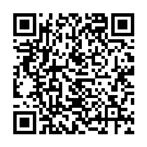 面对其他努力为自己以及自己的属下争取各项资源的人类二维码生成