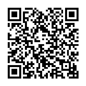 面对它们的雪狼王的时候应该是不会有任何的顾忌的吧二维码生成