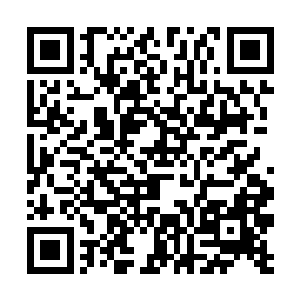 面对着信徒教皇必须还要去平复一下那些信徒的心情二维码生成