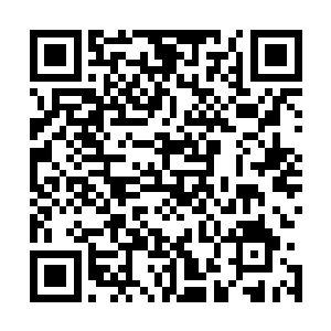 面对着数百万金乌族的人死在他的手上没有任何的兴奋之色二维码生成