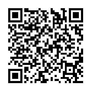 面对着桌子上琳琅满目的一百零八道大菜愁眉苦脸二维码生成