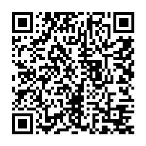 面对着穿着盔甲的两人苏凡又是两拳狠狠的朝着两人的胸口轰砸了过去二维码生成