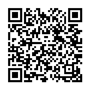 面对着这样来历的白衣少女是是否还能有这样的坚定呢二维码生成