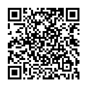 面对这个对自己很严厉可无论犯了什么错误都袒护自己的姐姐二维码生成