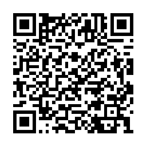 面对这么一个几乎连挑战的人都没有的绝对天后二维码生成