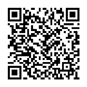 面对这么密集的拳头轰击也是出现了破碎的迹象二维码生成