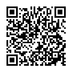 面对这恐怖剑潮和少海洞金诀的破甲特效亦是受伤不轻二维码生成