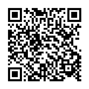 面对这种概念性武器就算是他也不愿意或者说不敢太过大意二维码生成