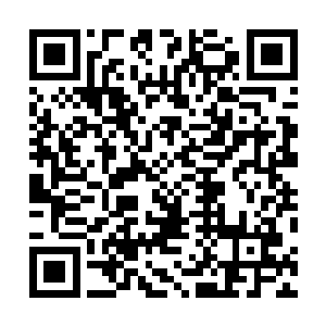 面对这调皮的小家伙对于云家的众人来说都是格外的喜爱二维码生成
