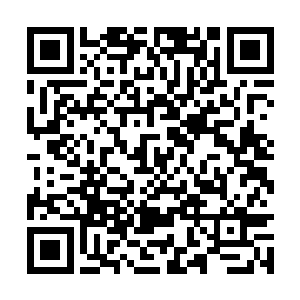 面无表情的大声向比斗场内所有人宣布抽取的结果二维码生成