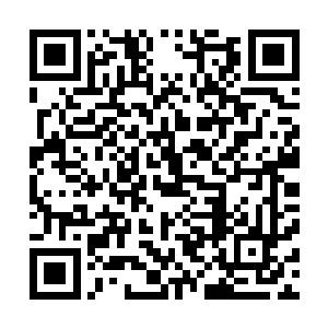 面无表情的看着港口上那一百多名达官贵人和其身后不远处二维码生成