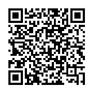 面目狰狞的的异兽正像一座小山一般地正趴在地上二维码生成