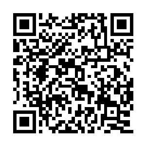 面红耳赤的盯着荷官手中的骰子和自己手中的牌二维码生成