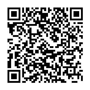 面色不愉的把各自身上特制的捕鱼灵器中的海产品倒入属于自己家的法器鱼池中二维码生成