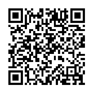 面色复杂的轻轻抚摸着自己已经完全隆起的小腹二维码生成