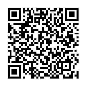 面色如常的看着坐在对面沙发上笑的一脸温和的女人二维码生成