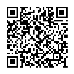 面貌温和的女修则将一册书简和一支笔置于桌上二维码生成