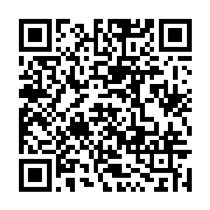 面部茸毛下巨大而漆黑的双眼异常愤怒的扫向前方二维码生成