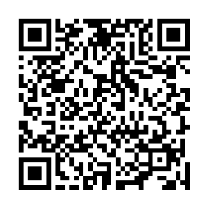 面露狐疑旋即想到箱底里母亲所赠那册跟春天有关的画册二维码生成