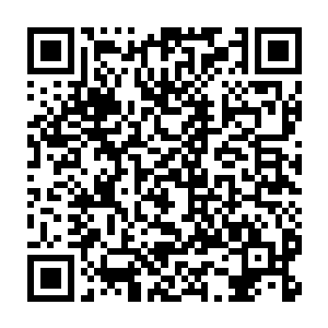 革新贼军势必不可能投入100%的兵力去强袭玉鼎星和几颗资源卫星的地表二维码生成