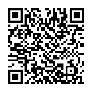 靳如歌他们全都蹲下身乖乖坐在马扎上看着他们二维码生成