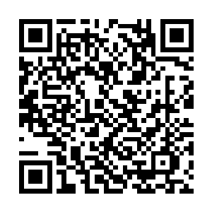 靳如歌跟靳子洛带着两个孩子跟小珠珠上了一辆车二维码生成