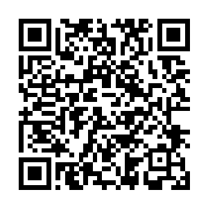靳子洛一早就把梅子凌是胥宁生母的事情跟靳如歌说了二维码生成