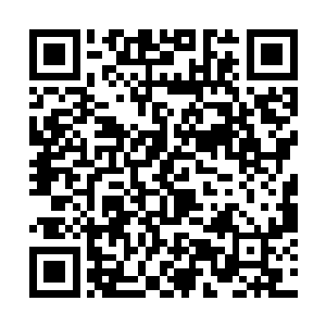 鞋带散了主裁判都会要求改名球员系好鞋带再比赛呢二维码生成